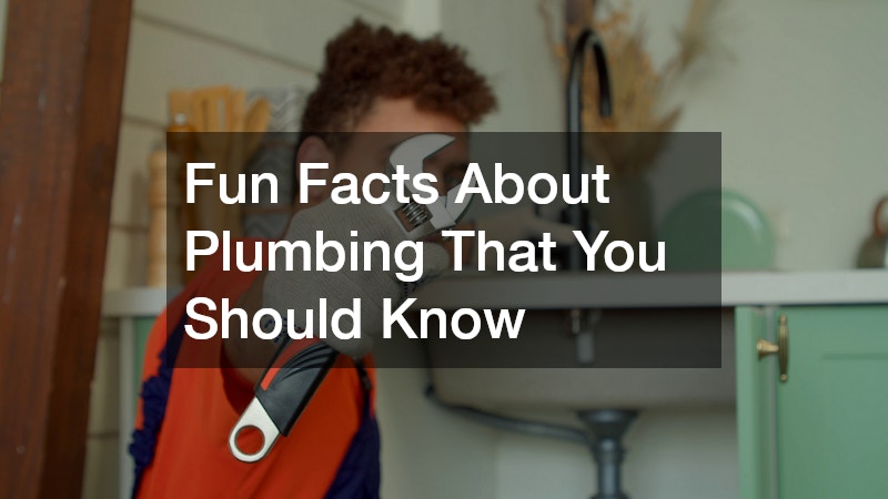 Fun Facts About Plumbing That You Should Know
