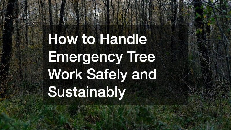 How to Handle Emergency Tree Work Safely and Sustainably